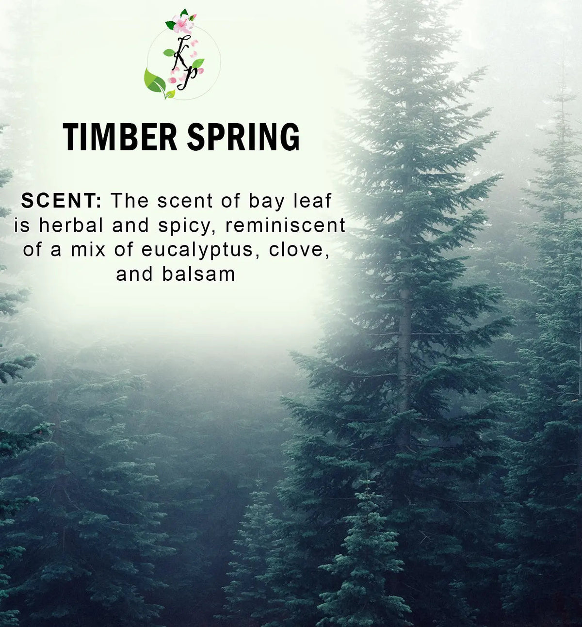 Timber Spring Natural Organic Body Lotion 12oz