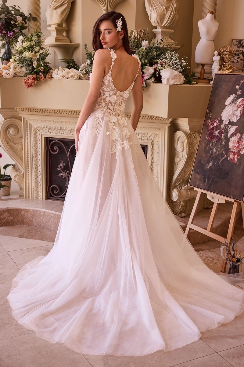 LACE APPLIQUED A-LINE TULE WEDDING DRESS CDCDS498W