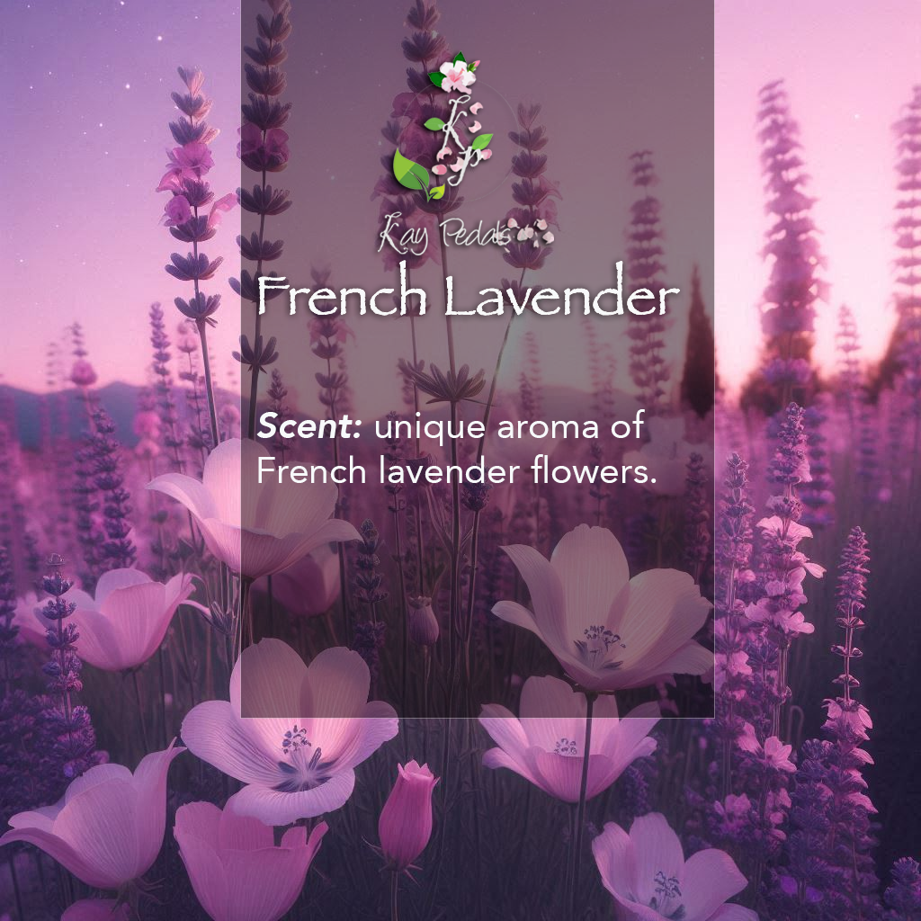French Lavender Natural Organic Body Lotion 12oz